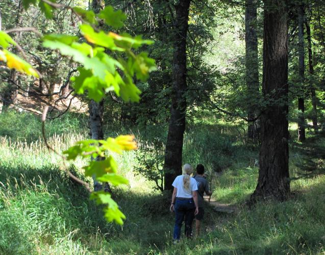 Trails on the eastern slopes of the Santa Catalina Mountains