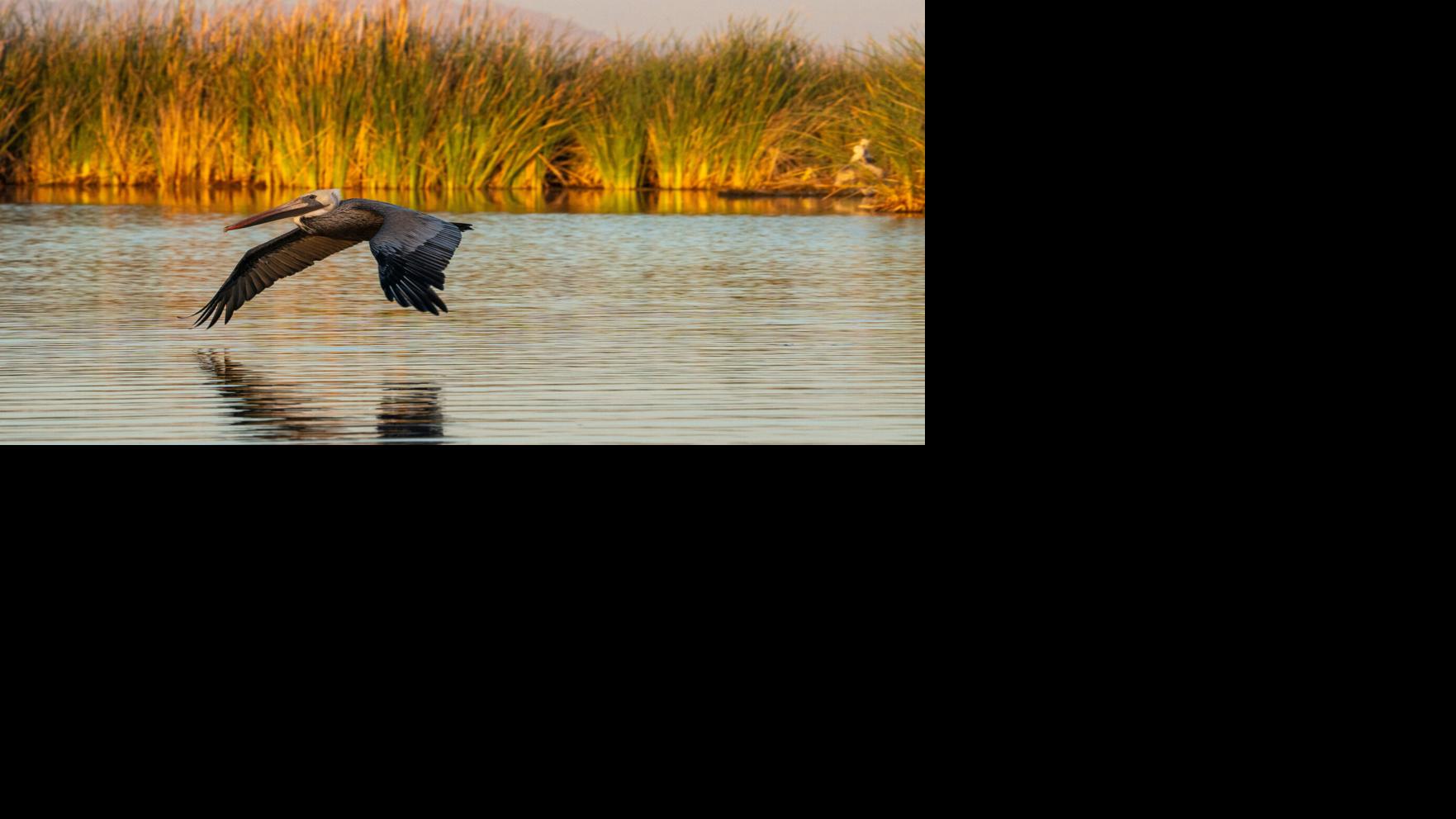 Mexico to share Colorado River cuts