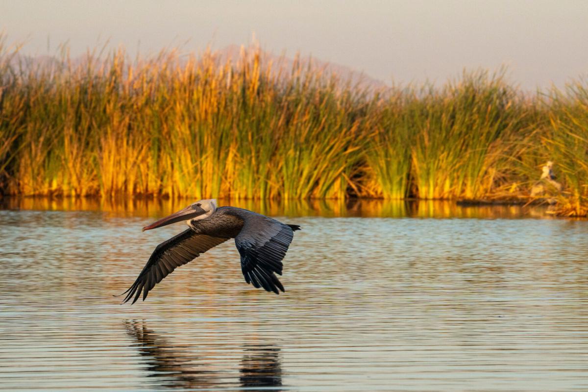Mexico to share Colorado River cuts