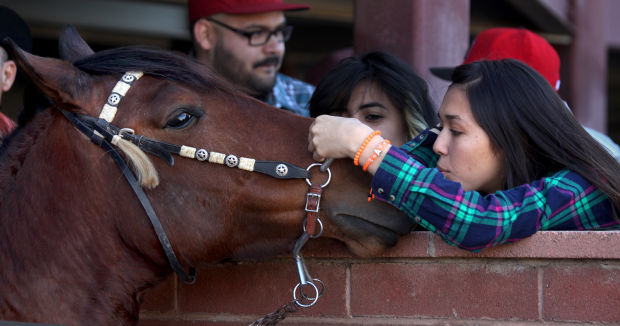 Horse racing at Rillito Race Track