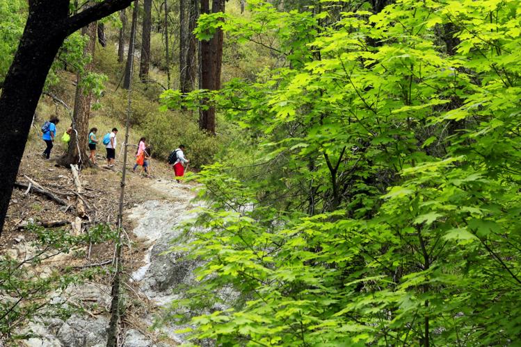 Marshall Gulch Trail