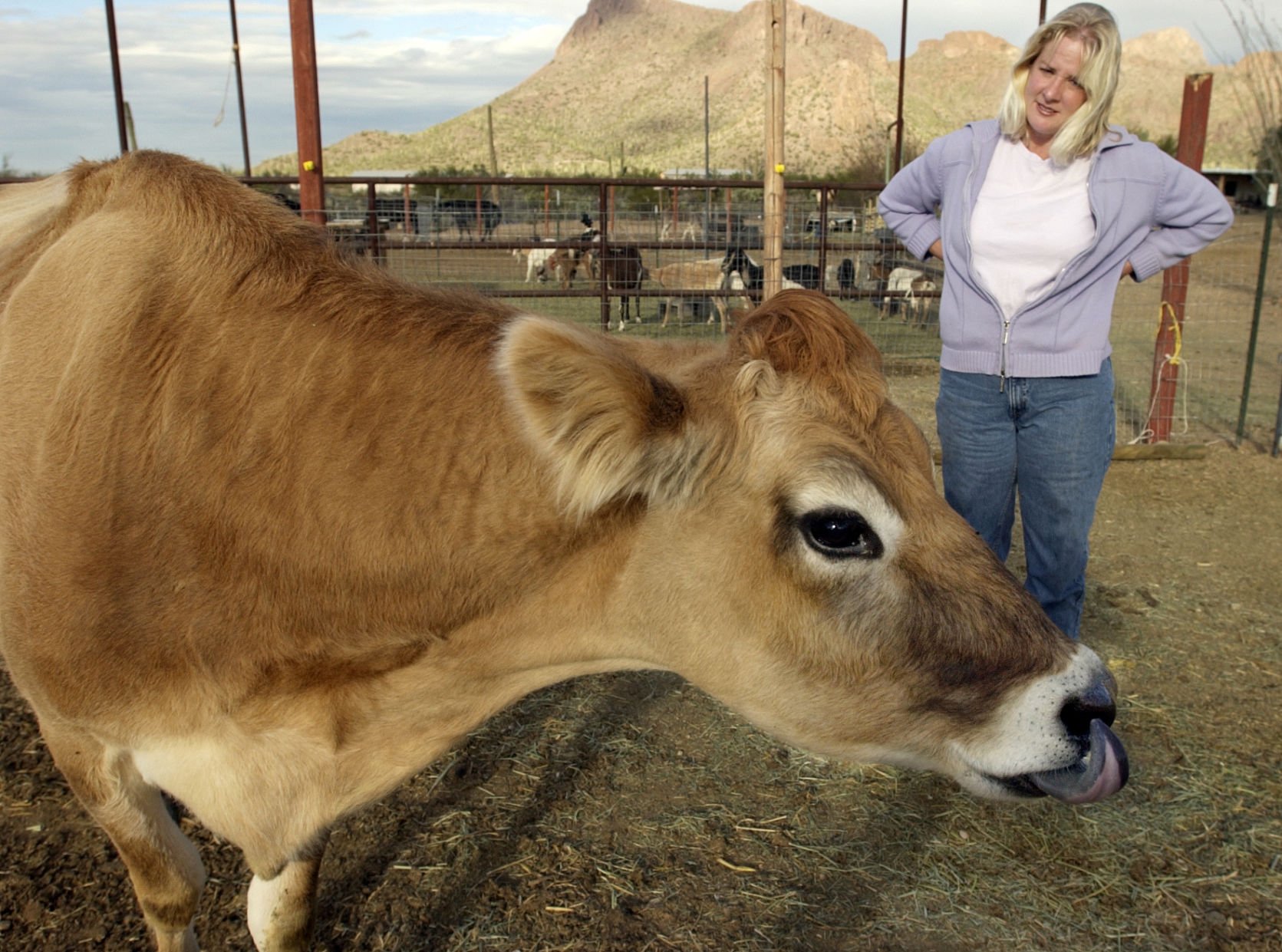 06 NWS Raw Milk