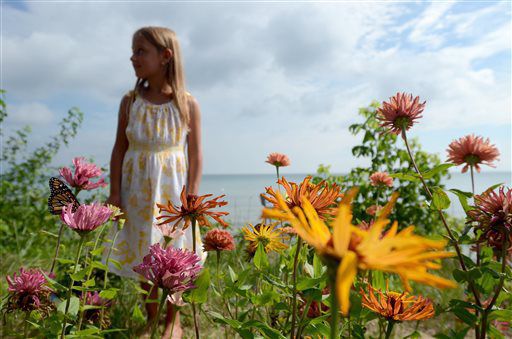 Fort Gratiot woman raises, releases monarch butterflies