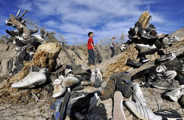 Landmark 'shoe tree' was more than a sole survivor: It inspired   