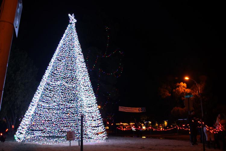 65th Annual Winterhaven Festival of Lights