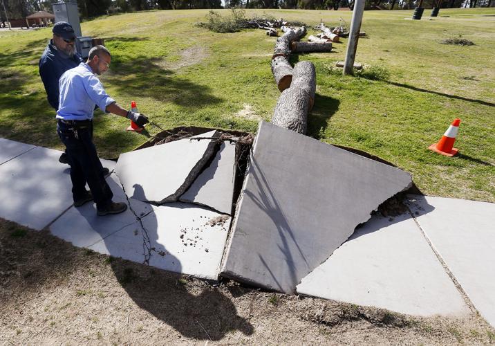 Windy Thursday in Tucson