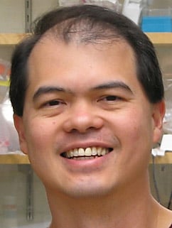 Bringing molecules together to fight type 2 diabetes