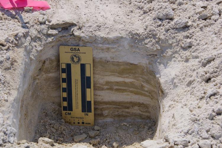 New U of A study follows in footsteps of major fossil find in New Mexico