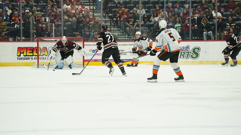 Tucson Roadrunners goalie Jaxson Stauber