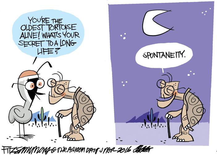 Last Laugh: Long life