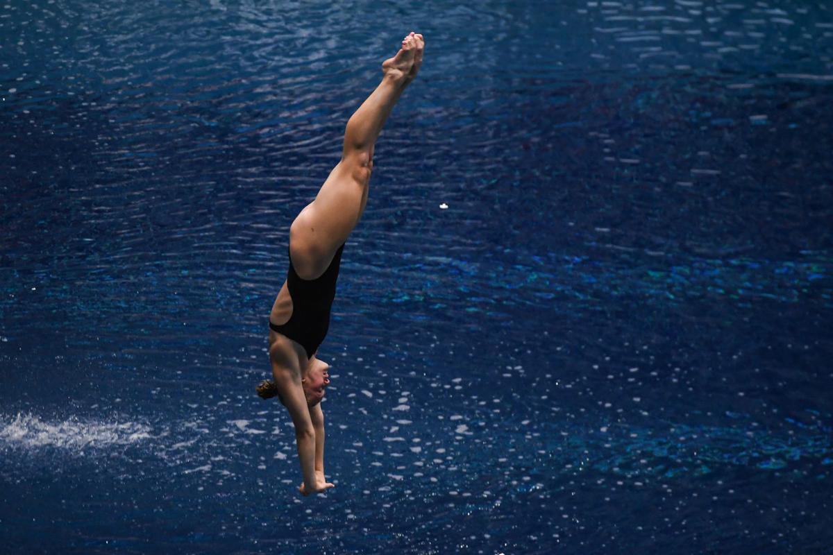 US Diving Senior National Diving Championships