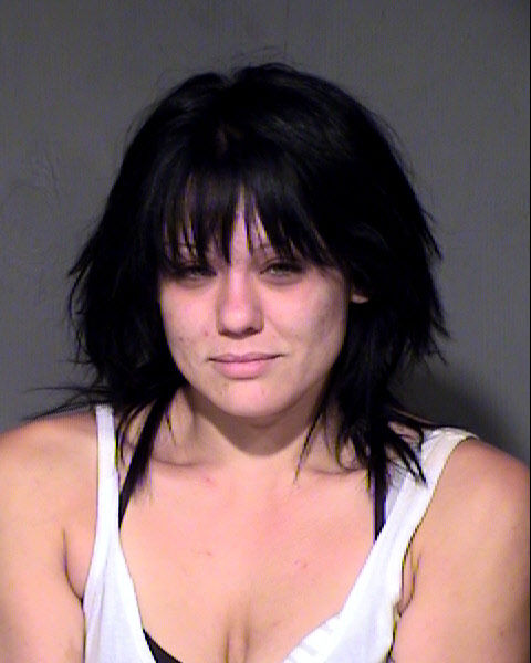 Phoenix police: Woman shot 2 pit bulls in backyard