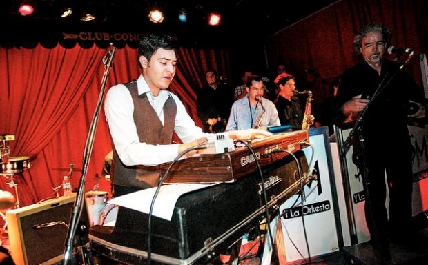 Infectious young mambo project  