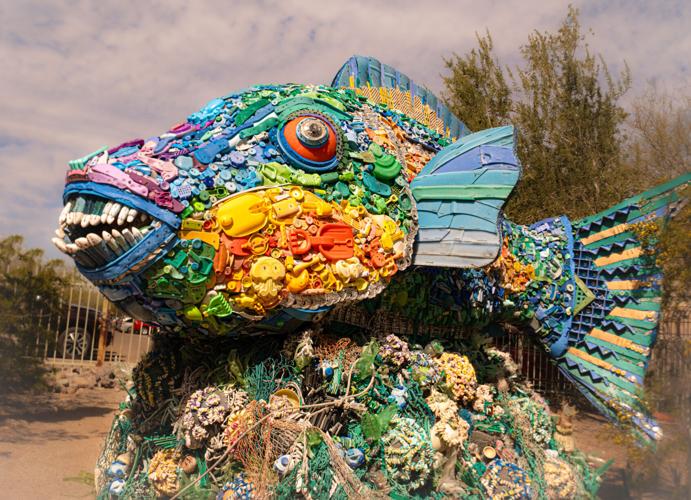 SaddleBrooke Photographers Tour the Tucson Botanical Gardens Clubs