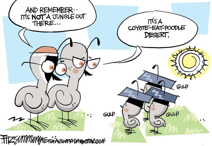 Last Laugh: Graduates