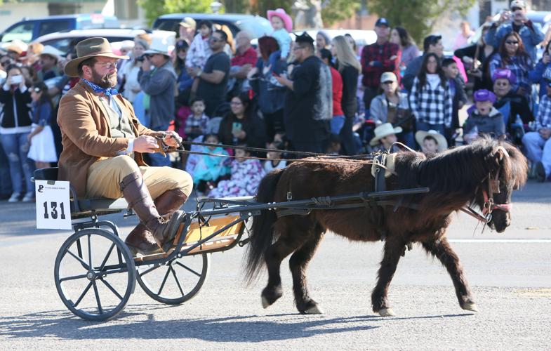 2017 Tucson Rodeo Parade