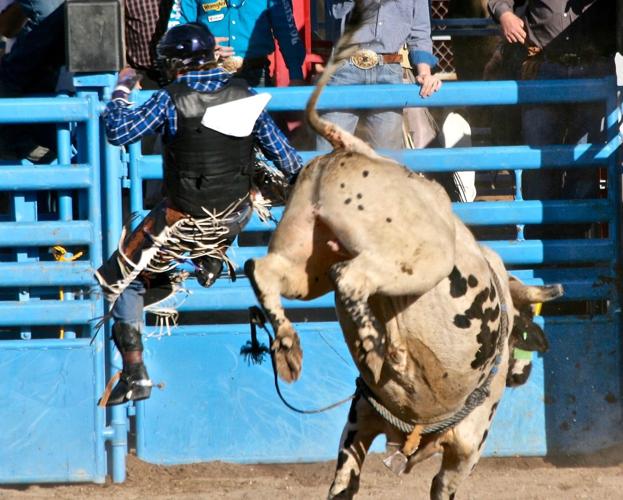 Tucson Rodeo