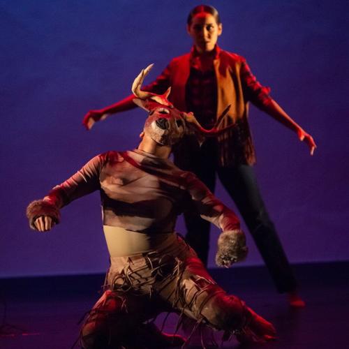 ‘Lost Roots’: A Sky Islands-Inspired Choreography