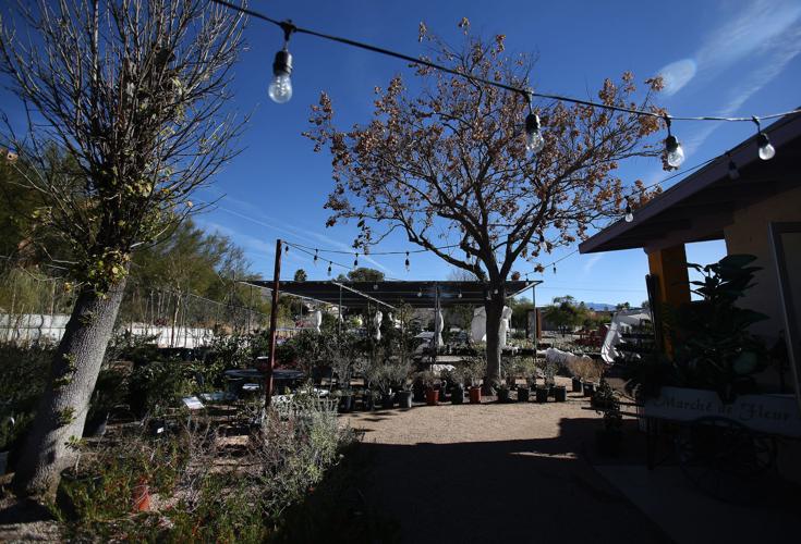 Sundrea Landscape Center