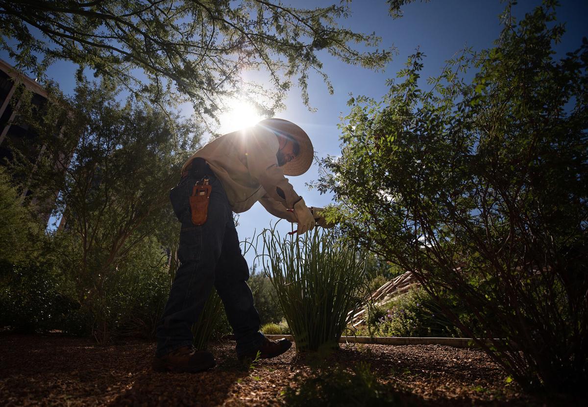 October in Tucson was unusually warm, dry