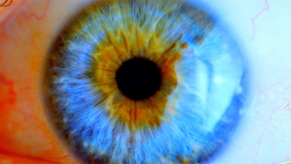 Scientists “blown away” by new procedure that gives vision to mice with congenital blindness->回答 6 件