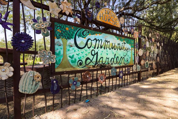 Iron Horse Community Garden