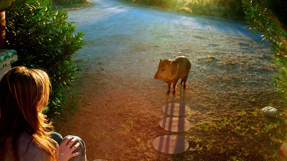 Linda McCartney’s Tucson life is central to a new exhibit