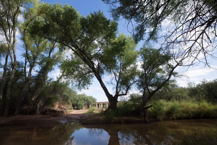 San Pedro River