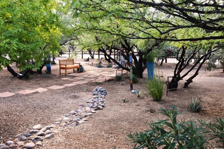 Pima County Master Gardeners Home Garden Tour 2025 2