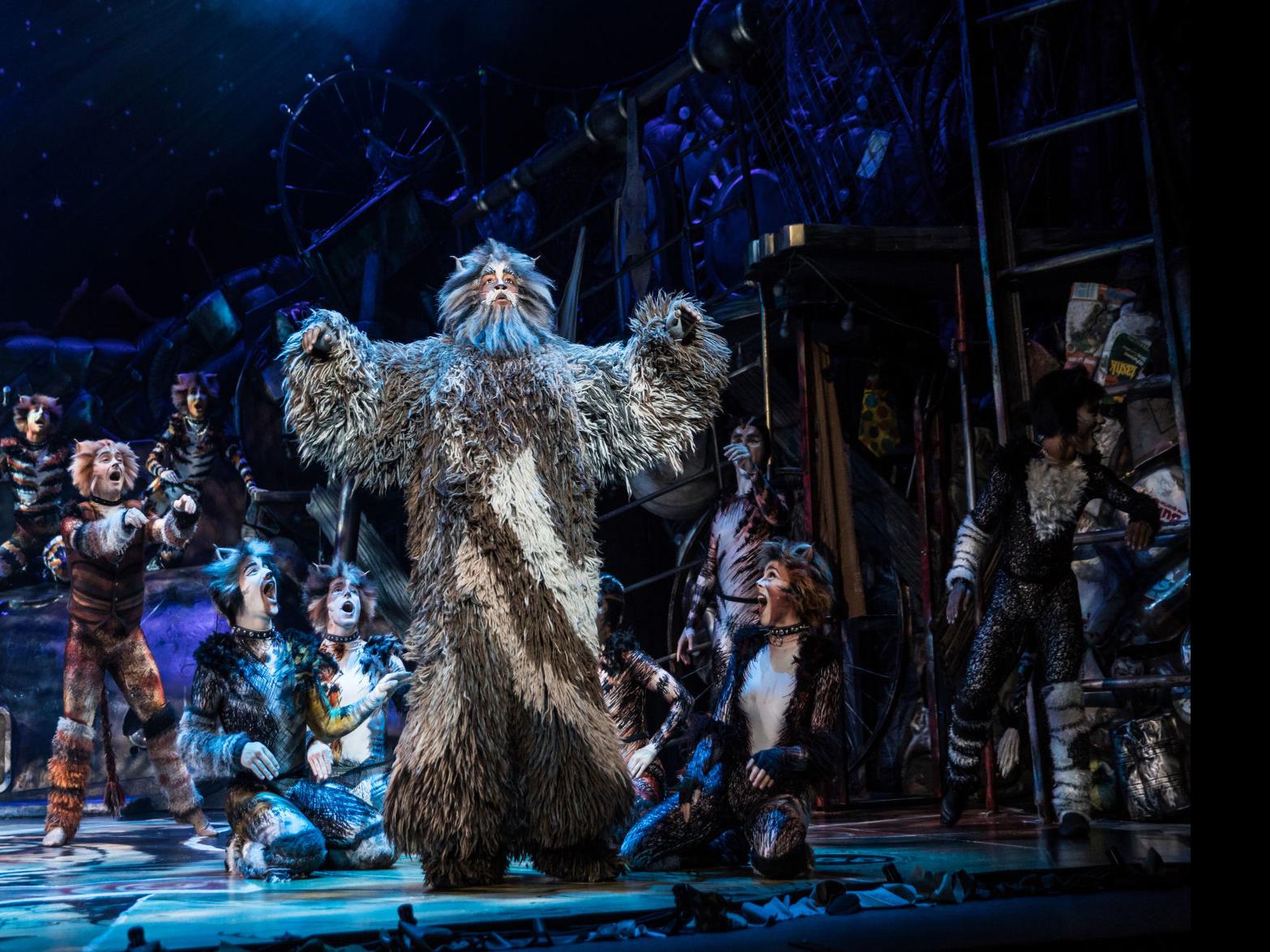 Love It Or Hate It The Musical Cats Is Coming To Tucson Entertainment Tucson Com