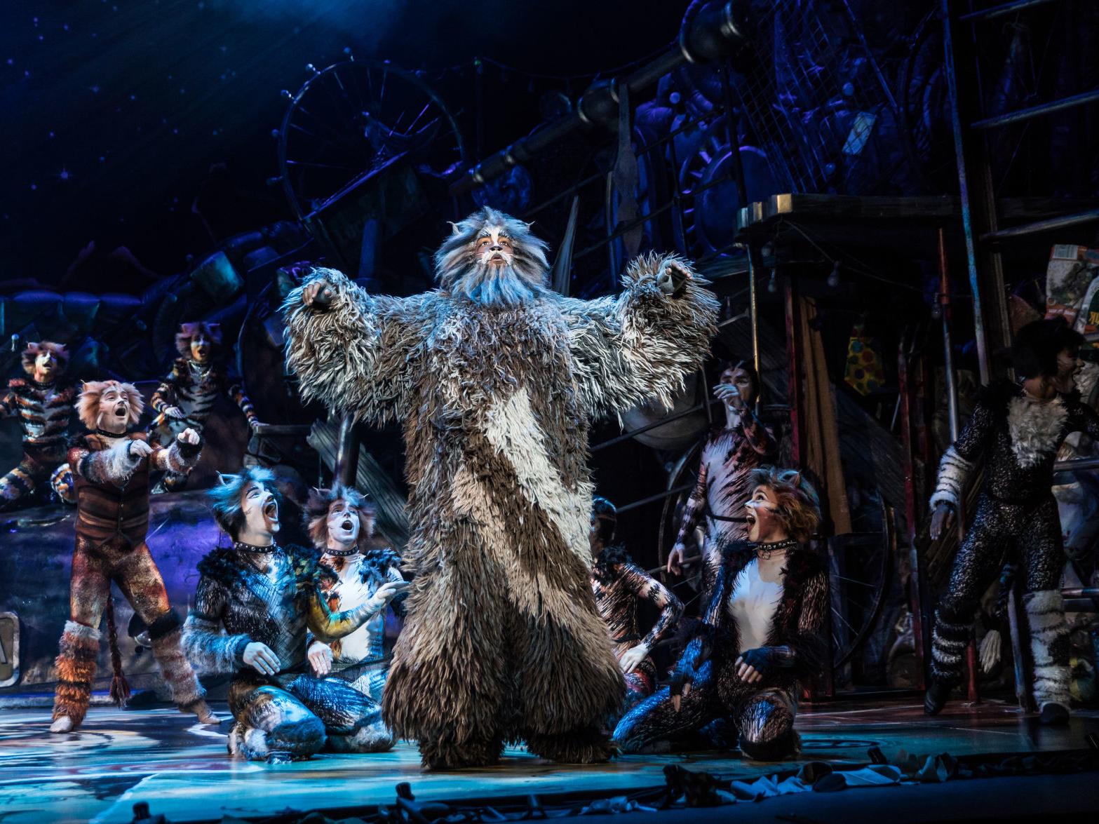 Love It Or Hate It The Musical Cats Is Coming To Tucson Entertainment Tucson Com