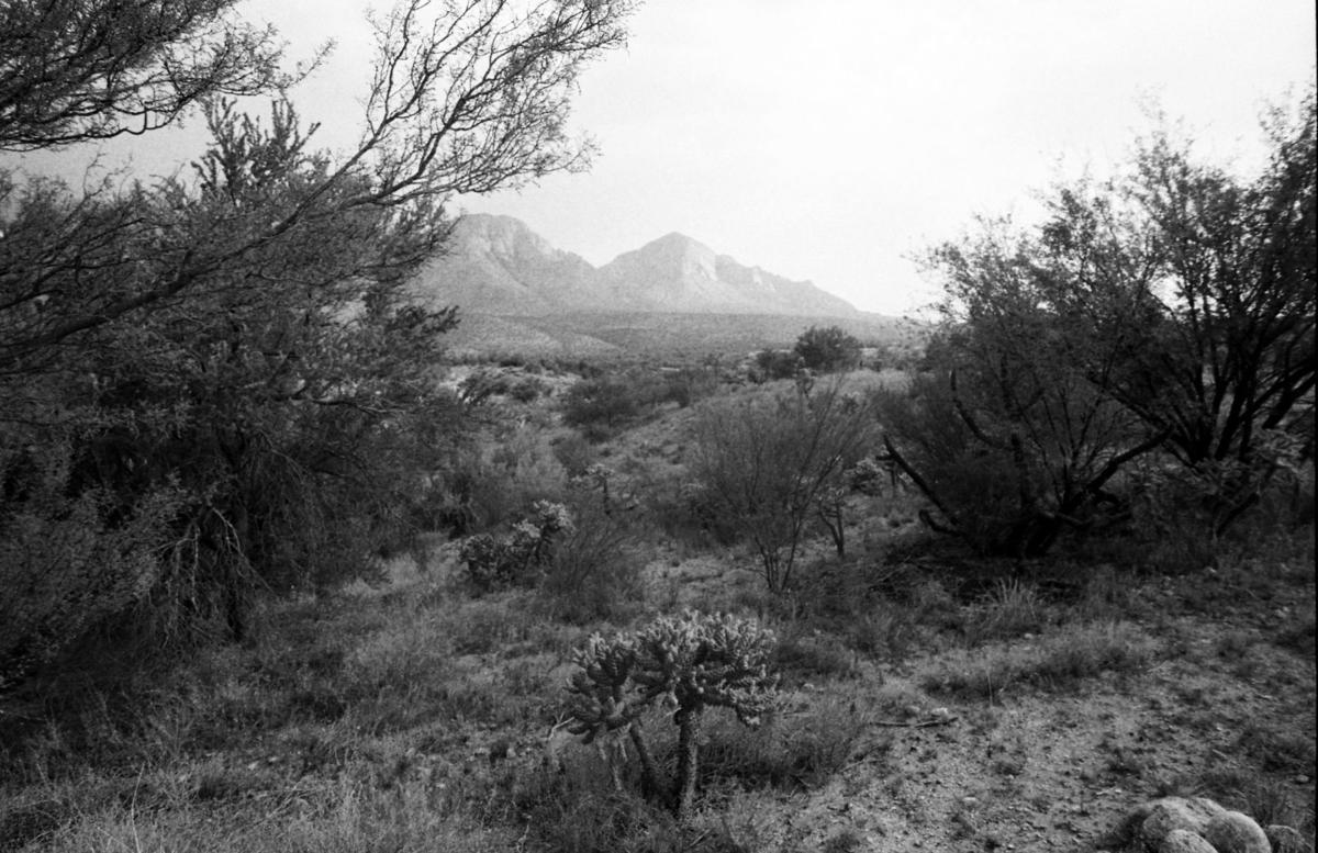 Rancho Romero (Catalina State Park)