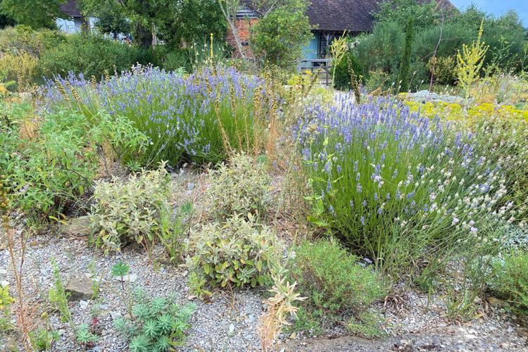 Gardening-Gravel