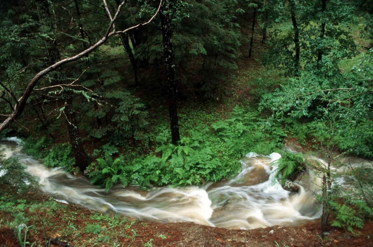 Marshall Gulch Trail