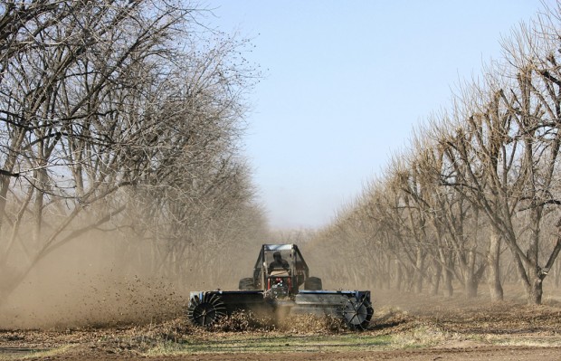 China's appetite aids Sahuarita pecan firm   