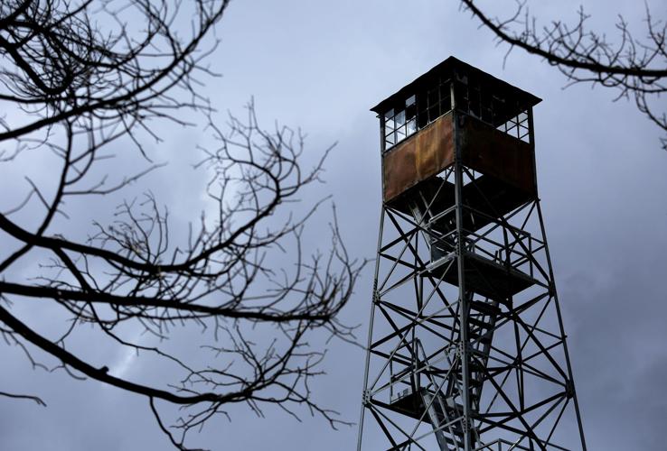 Frye Fire recovery on Mt. Graham