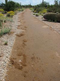 Saguaro Park trail for wheelchairs damaged by horse rider