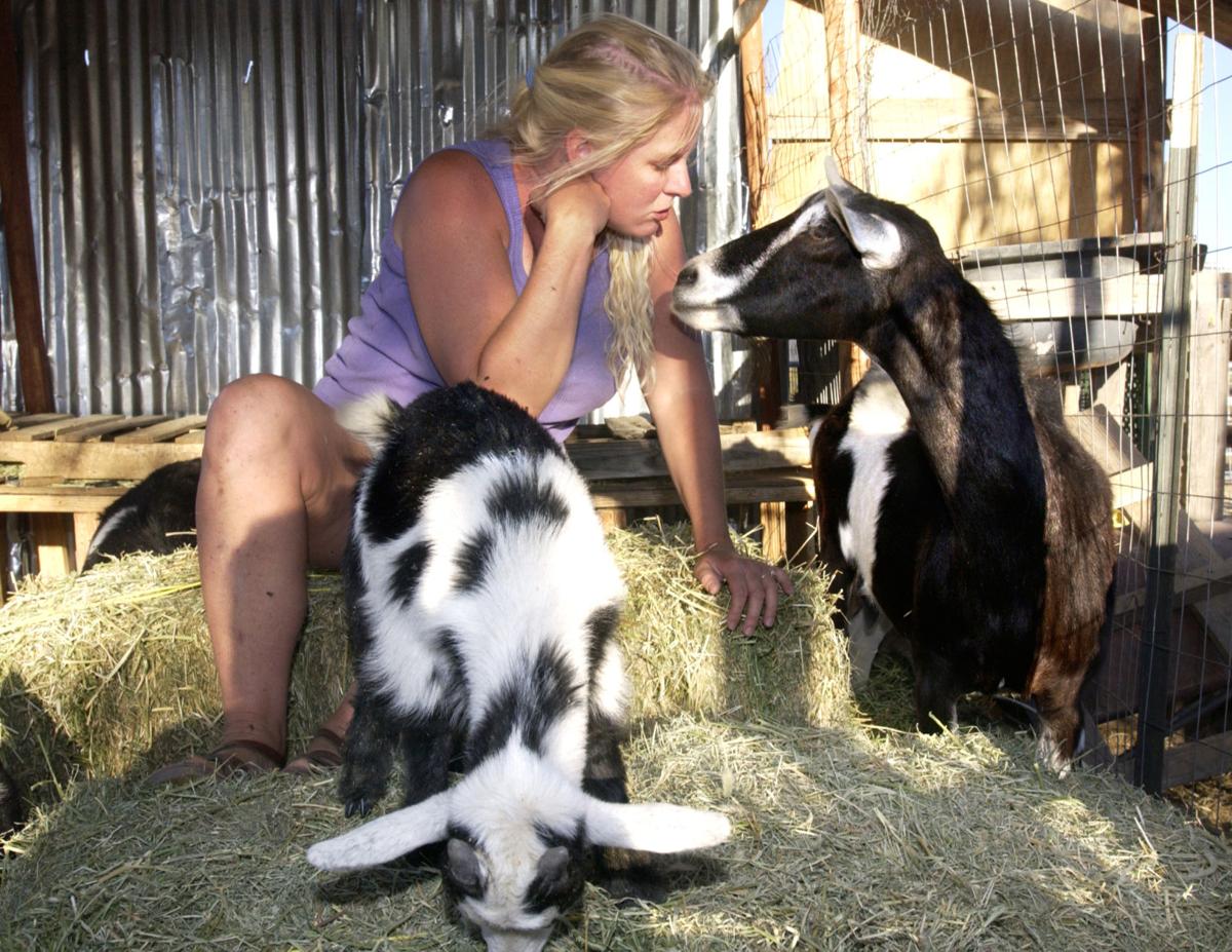 Local mother-daughter duo saving unwanted farm animals in Picture Rocks |  tucson life 