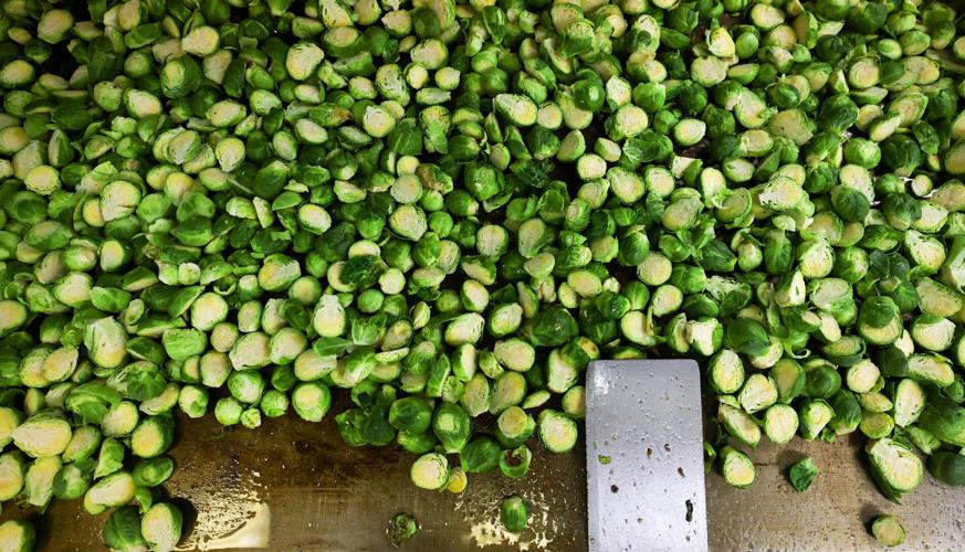 University of Arizona Thanksgiving offering