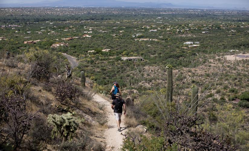 Agua Caliente Hill Trail