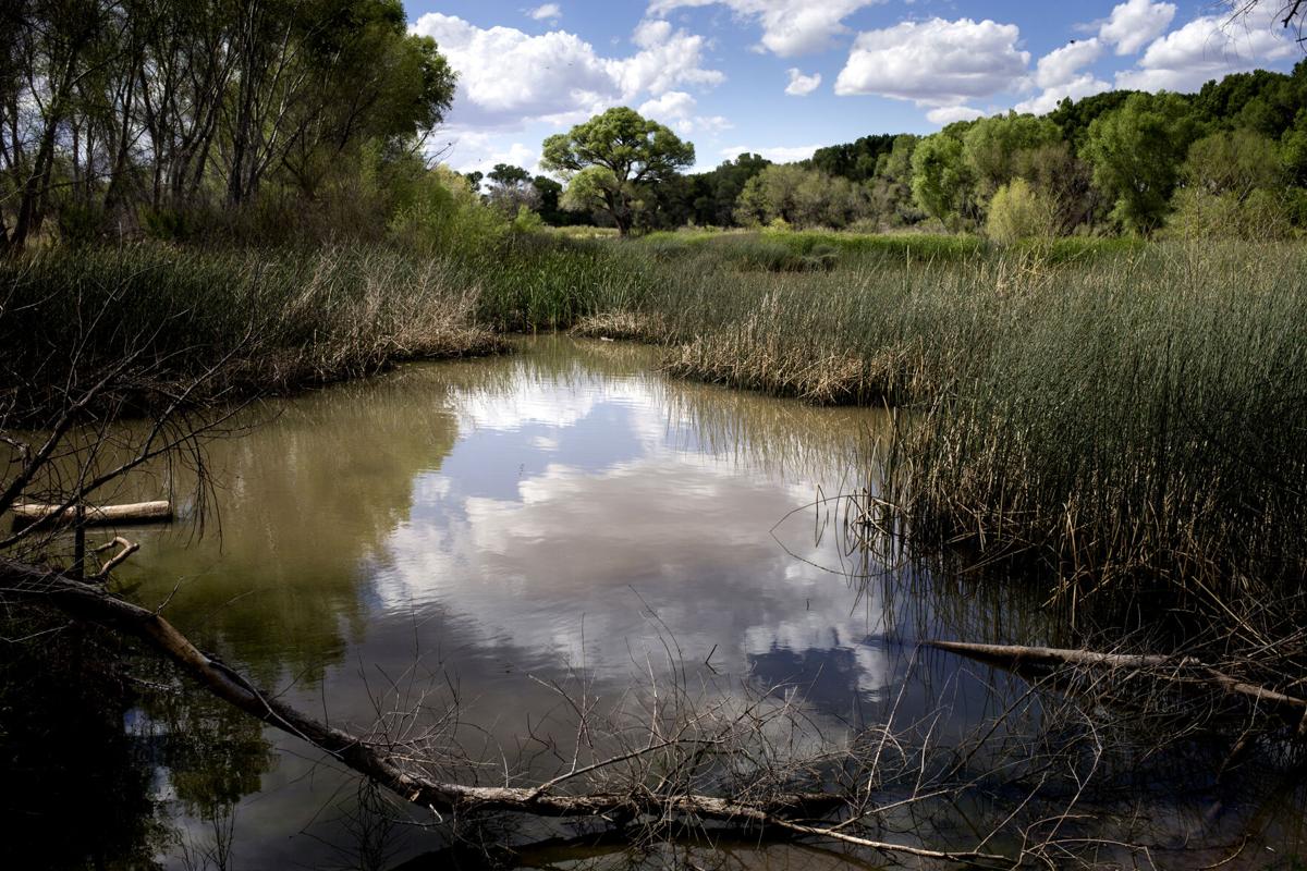 Hobbs, state seek dismissal of San Pedro River groundwater pumping lawsuit