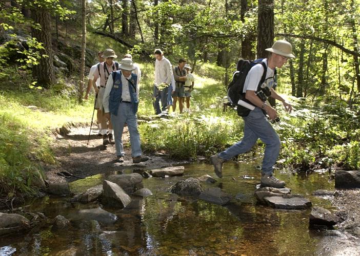 Marshall Gulch Trail