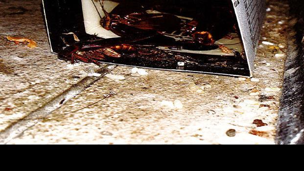 These 13 Eateries Around Tucson Failed Health Inspections In August Business News Tucsoncom