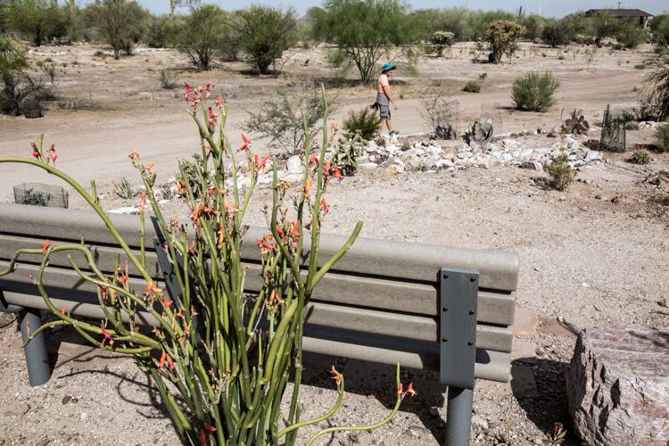 Pima Prickly Park