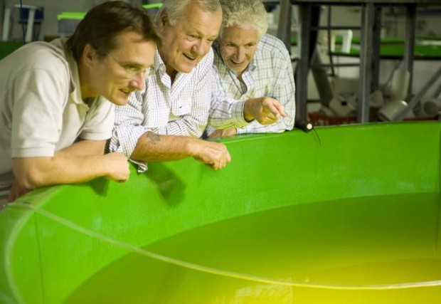 Fishing fleet's boss hatches a plan to save bluefin tuna  