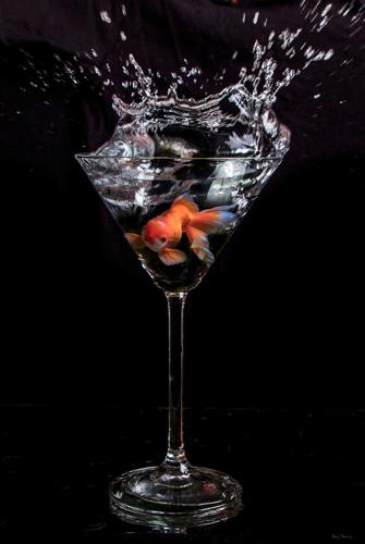 Martini-Swim-by-Jay-Clary.jpg