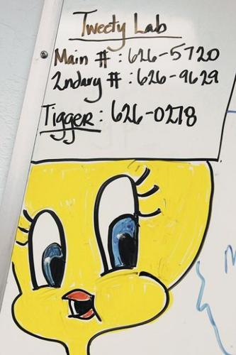 Kids do language lab 'work' at UA  