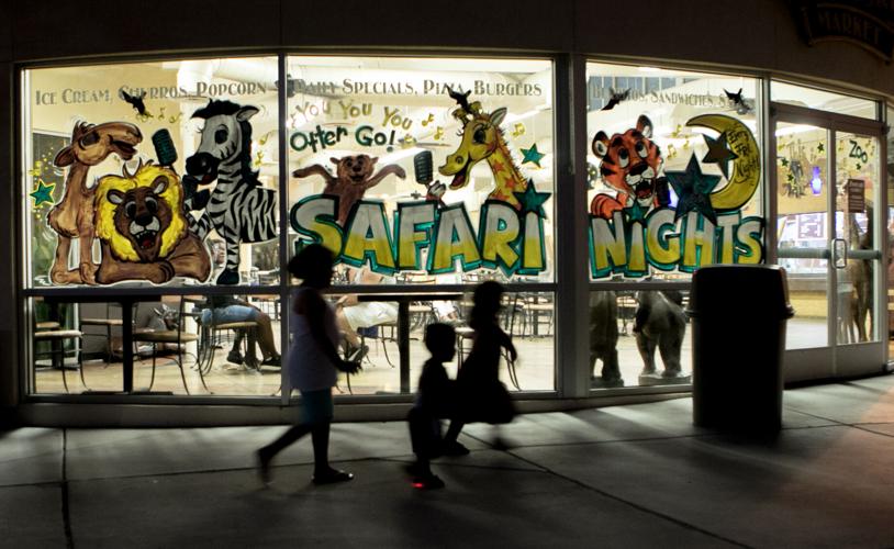 Safari Nights