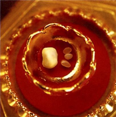 Holy Buddhist relics to go on display here   