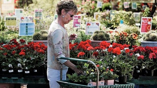 Harlow Gardens Marks 70 Years Business News Tucson Com